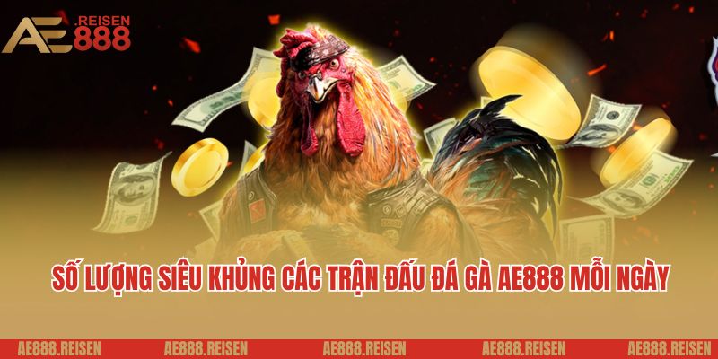 Khám Phá Đá Gà AE888: Xem Trực Tiếp Các Trận Đấu Kê Thủ Hay Nhất 5 Số lượng siêu khủng các trận đấu đá gà AE888 mỗi ngày