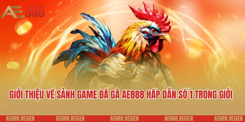 Khám Phá Đá Gà AE888: Xem Trực Tiếp Các Trận Đấu Kê Thủ Hay Nhất 1 Giới thiệu về sảnh game đá gà AE888 hấp dẫn số 1 trong giới