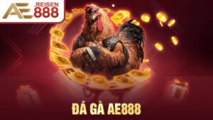 Đá gà AE888